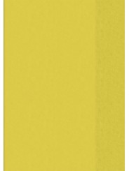 BRUNNEN Hefthülle · DIN A4 · transparent · gelb