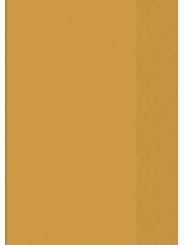 BRUNNEN Hefthülle · DIN A4 · transparent · orange