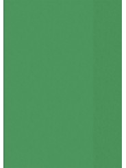 BRUNNEN Hefthülle · DIN A4 · transparent · grün