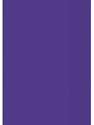 BRUNNEN Hefthülle · DIN A4 · transparent · violett