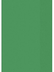 BRUNNEN Hefthülle · DIN A5 · transparent · grün