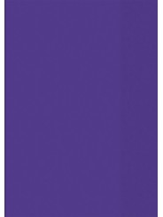 BRUNNEN Hefthülle · DIN A5 · transparent · violett