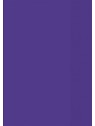 BRUNNEN Hefthülle · DIN A5 · transparent · violett