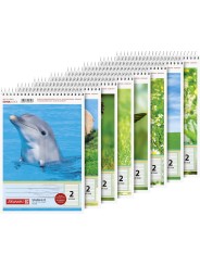 BRUNNEN Schulblock A5 · mit Kopfspirale · Lineatur 2 · 70 g/m² · 40 Blatt - Motiv zufällig