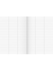 BRUNNEN 1 Vokabelheft A4 · Vivendi · 32 Blatt · Lineatur 54 (3 Spalten)