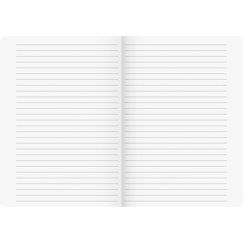 BRUNNEN Schulheft · DIN A4 · Vivendi · Lineatur 4   · 90 g/m² · 16 Blatt