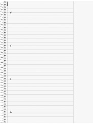 BRUNNEN Premium-Collegeblock · DIN A4 · Lineatur 25