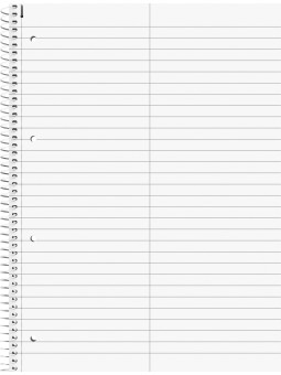 BRUNNEN Premium-Collegeblock · DIN A4 · Vokabellineatur 53