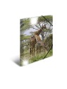 HERMA Sammelmappe · A3 · PP · Glossy Tiere · Giraffe