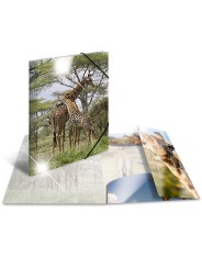 HERMA Sammelmappe · A3 · PP · Glossy Tiere · Giraffe