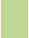 heyda Krepppapier · Bastelkrepp · 50 x 250 cm · maigrün · feuchtfärbend