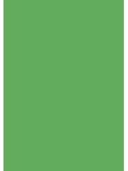 heyda Krepppapier · Bastelkrepp · 50 x 250 cm · mittelgrün · feuchtfärbend