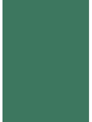 heyda Krepppapier · Bastelkrepp · 50 x 250 cm · grasgrün · feuchtfärbend