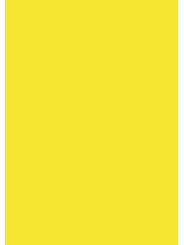 heyda Krepppapier · Bastelkrepp · 50 x 250cm · sonnengelb · feuchtfärbend