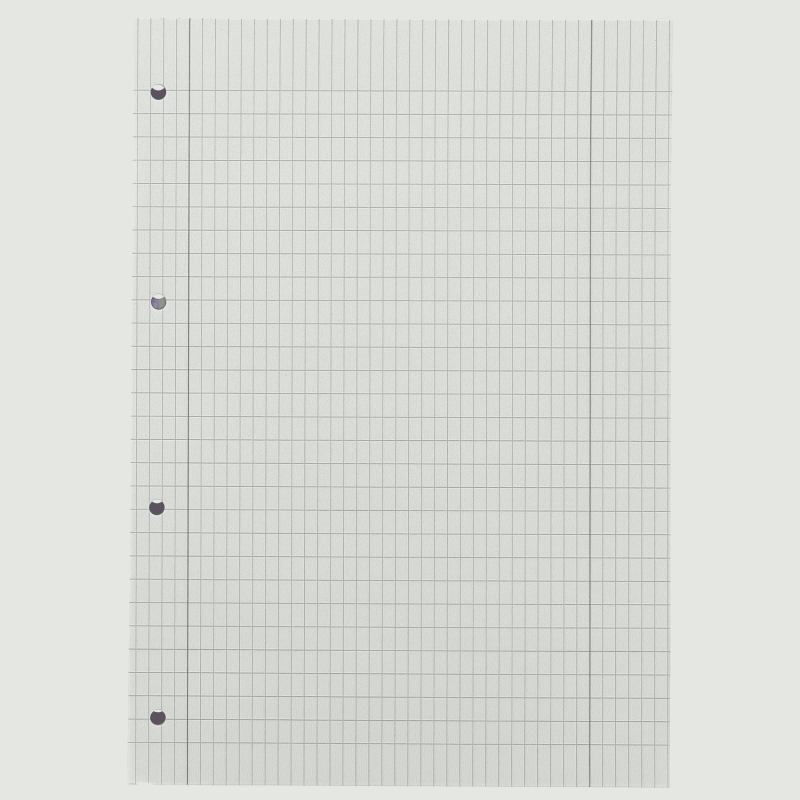 Landré Schulblock · A4 · 50 Blatt · Lineatur 29 · rautiert · Doppelrand