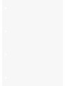BRUNNEN Schulblock · A4 unlininiert · Lineatur 20 · 50 Blatt Premium