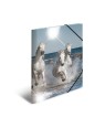 HERMA Sammelmappe · A4 · PP · Glossy Tiere · Pferde