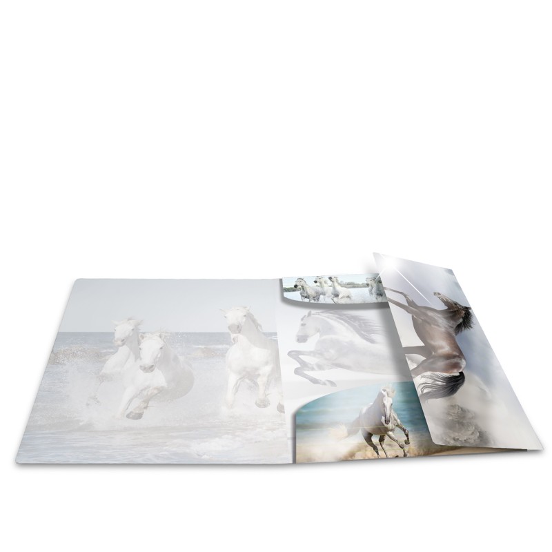 HERMA Sammelmappe · A4 · PP · Glossy Tiere · Pferde