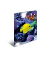 HERMA Sammelmappe · A4 · PP · Glossy Tiere · Fische