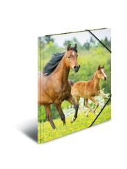 HERMA Jurismappe · Sammelmappe · A4 · PP · Tiere · Pferde