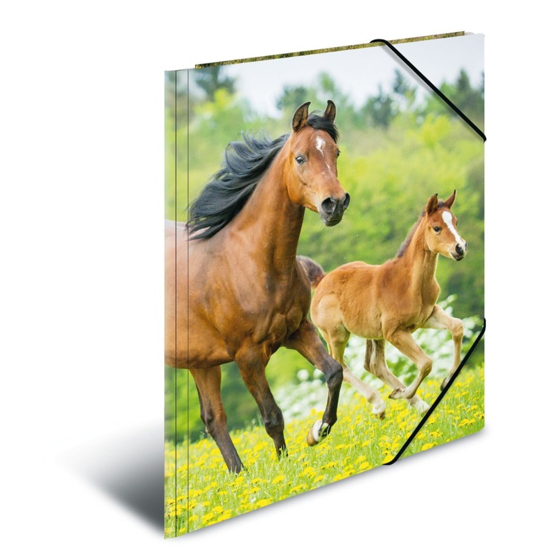 HERMA Jurismappe · Sammelmappe · A4 · PP · Tiere · Pferde