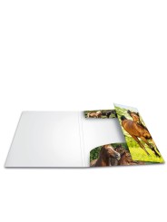 HERMA Jurismappe · Sammelmappe · A4 · PP · Tiere · Pferde