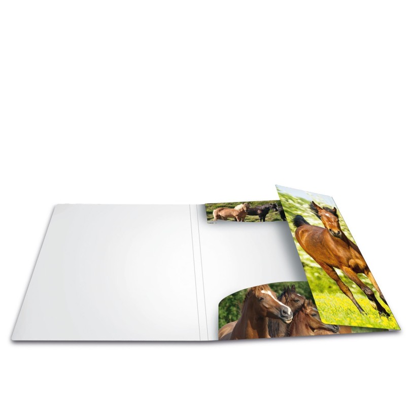 HERMA Jurismappe · Sammelmappe · A4 · PP · Tiere · Pferde