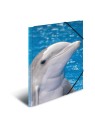 HERMA Sammelmappe · A3 · PP · Tiere · Delfin