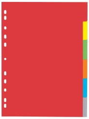 Pagna Ringbuchregister · 6-teilig · DIN A4 · Karton · farbig