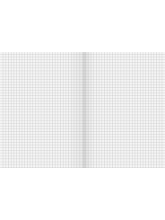 BRUNNEN Schulheft · DIN A4 · Lineatur 7 · Große Kästchen · 16 Blatt · Umweltpapier