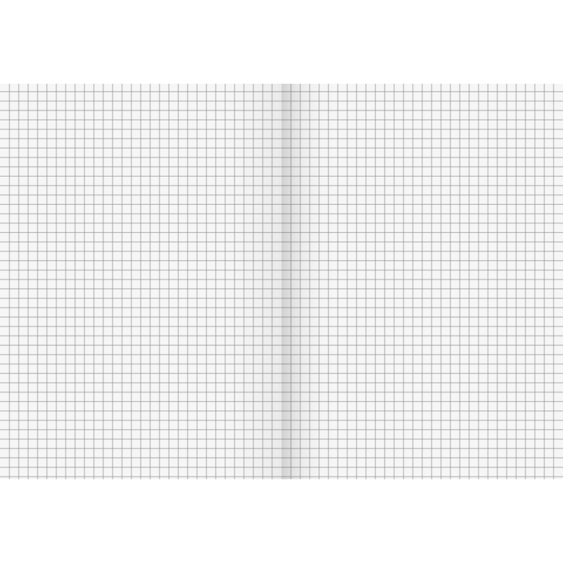 BRUNNEN Schulheft · DIN A4 · Lineatur 7 · Große Kästchen · 16 Blatt · Umweltpapier