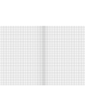 BRUNNEN Schulheft · DIN A4 · Lineatur 7 · Große Kästchen · 16 Blatt · Umweltpapier