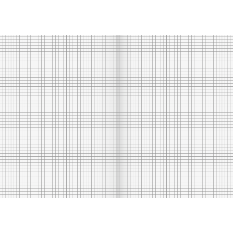 BRUNNEN Schulheft · DIN A4 · Lineatur 28 · kariert mit Doppelrand · 16 Blatt · Umweltpapier