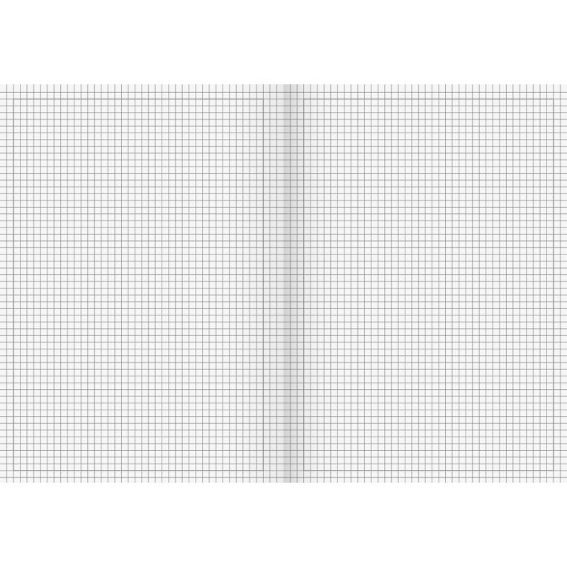 BRUNNEN Schulheft · DIN A4 · Lineatur 40 · kariert mit Rahmen · 16 Blatt · Umweltpapier