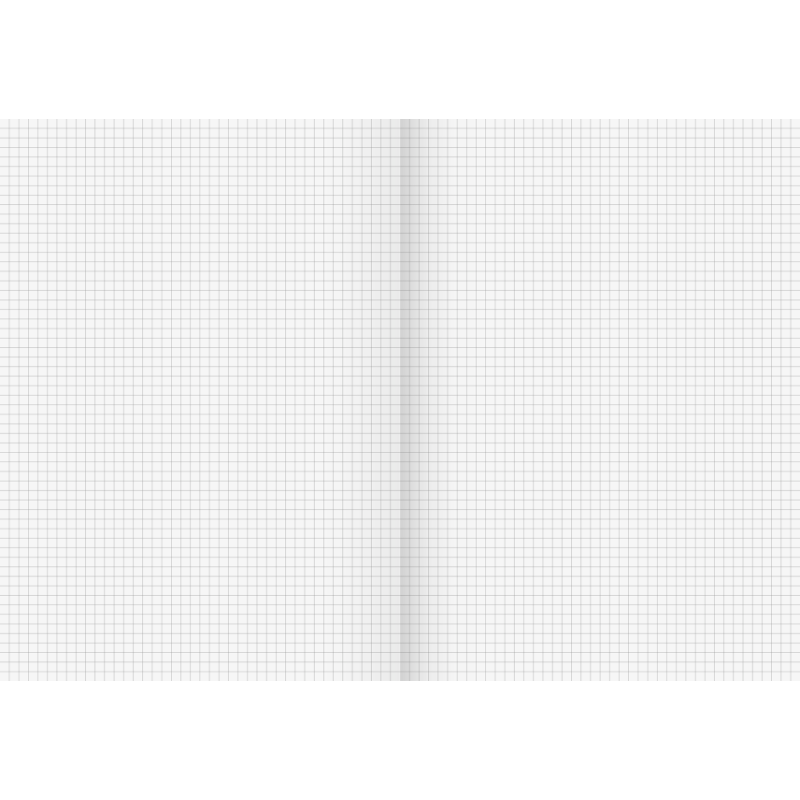 BRUNNEN Doppelheft · DIN A4 · Lineatur 22 · kariert ohne Rand · 32 Blatt · Umweltpapier