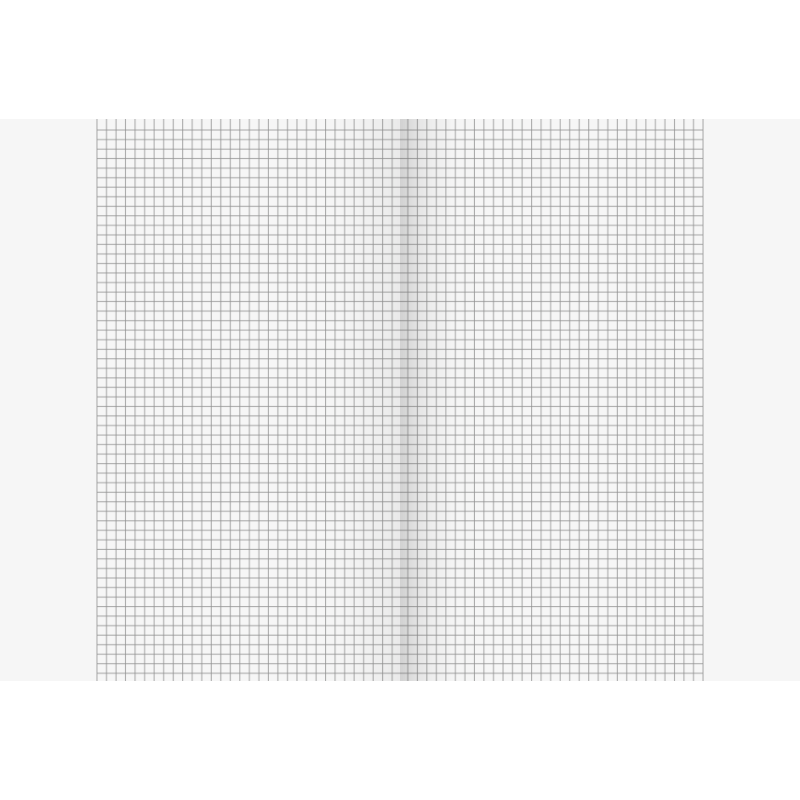 BRUNNEN Doppelheft · DIN A4 · Lineatur 26 · kariert mit Rand · 32 Blatt · Umweltpapier