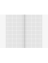 BRUNNEN Doppelheft · DIN A4 · Lineatur 26 · kariert mit Rand · 32 Blatt · Umweltpapier