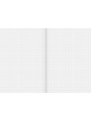 BRUNNEN Schulheft · DIN A5 · Lineatur 5 · kariert ohne Rand · 16 Blatt · Umweltpapier