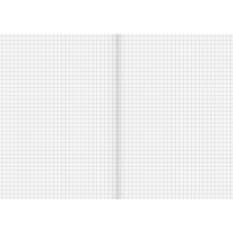 BRUNNEN Schulheft · DIN A5 · Lineatur 5 · kariert ohne Rand · 16 Blatt · Umweltpapier