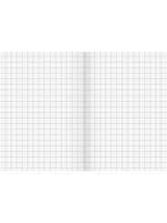 BRUNNEN Schulheft · DIN A5 · Lineatur 7  · Große Kästchen · 16 Blatt · Umweltpapier