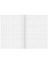 BRUNNEN Schulheft · DIN A5 · Lineatur 7  · Große Kästchen · 16 Blatt · Umweltpapier