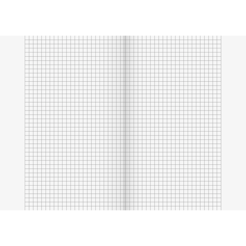 BRUNNEN Schulheft · DIN A5 · Lineatur 10 · kariert mit Rand · 16 Blatt · Umweltpapier