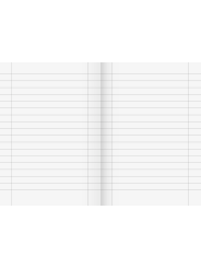 BRUNNEN Schulheft · DIN A5 · Lineatur 27 · liniert mit Doppelrand · 16 Blatt · Umweltpapier