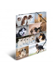 HERMA Sammelmappe · A3 · Karton · Hunde