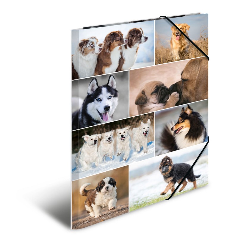 HERMA Sammelmappe · A3 · Karton · Hunde