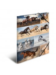 HERMA Sammelmappe · A3 · Karton · Pferde
