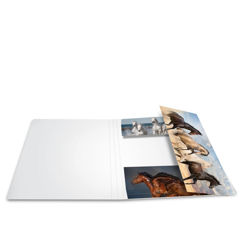 HERMA Sammelmappe · A3 · Karton · Pferde