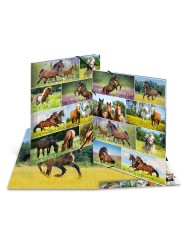 HERMA Sammelmappe · A3 · Karton · Pferdewiese