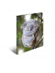 HERMA Sammelmappe · A3 · PP · Glossy Tiere · Koala