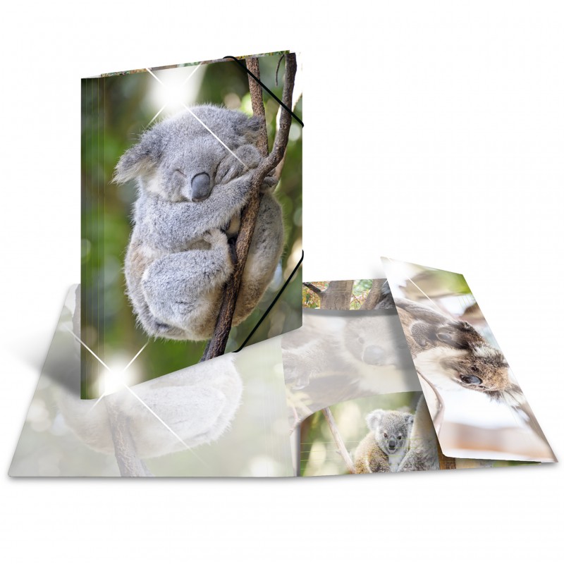 HERMA Sammelmappe · A3 · PP · Glossy Tiere · Koala